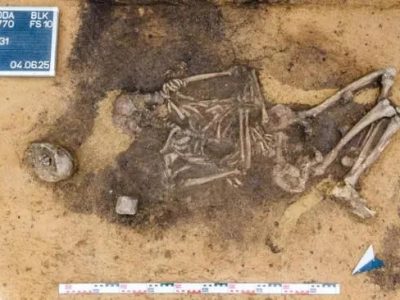 Ratusan Gigi Hewan Ditemukan Hiasi Gendongan Zaman Tembaga
