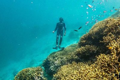 Evakuasi Gagal, Turis Belanda Tewas Saat Diving Labuan Bajo