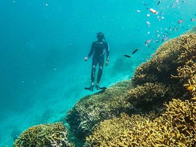 Evakuasi Gagal, Turis Belanda Tewas Saat Diving Labuan Bajo