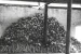 Kekejaman Khmer Rouge: Genosida Kamboja Berakhir 1979