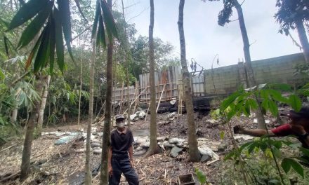 Berbulan-Bulan Bau, Usaha Limbah Ayam Ilegal Di Lebak Tamat!