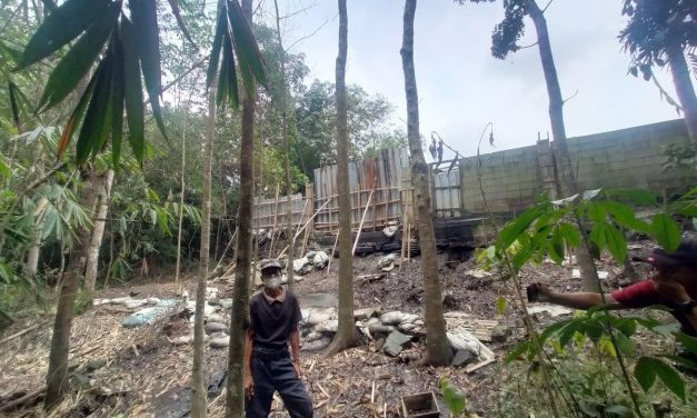 Berbulan-Bulan Bau, Usaha Limbah Ayam Ilegal Di Lebak Tamat!