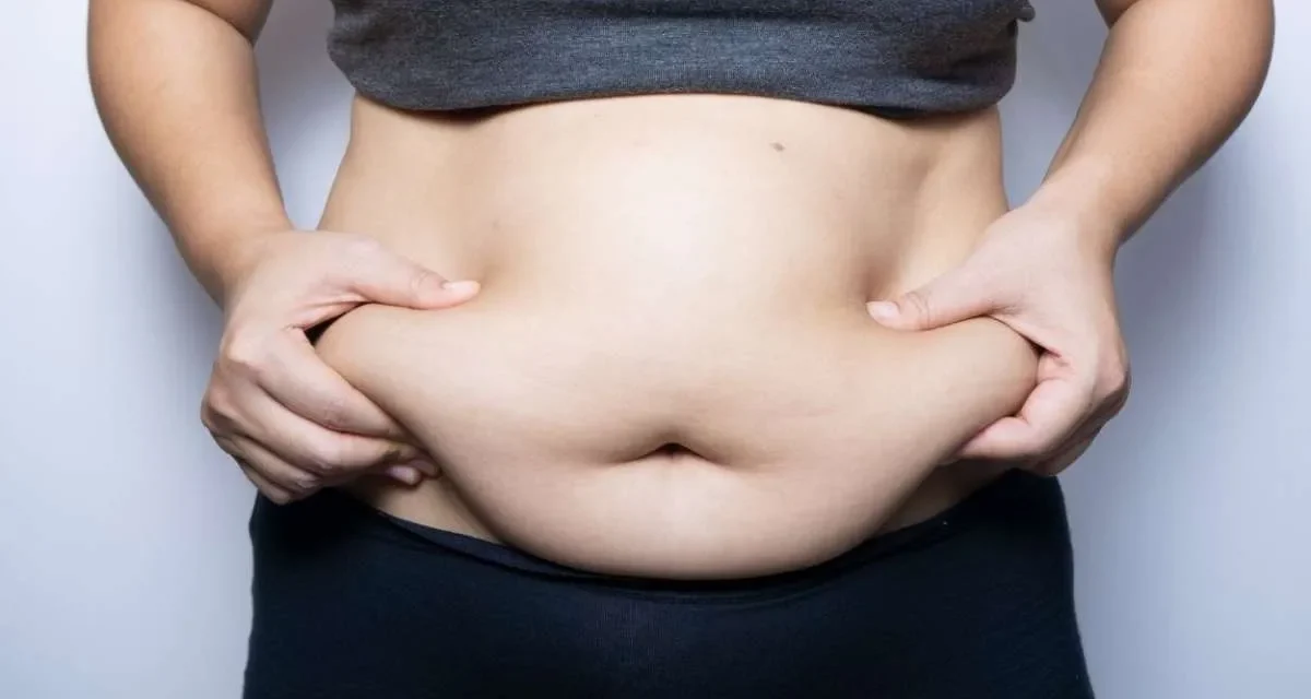 Penyebab Lemak Visceral Ternyata Bermula Dari Kebiasaan Buruk