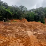 Kemenko Tegas: Hulu Tak Boleh Gundul