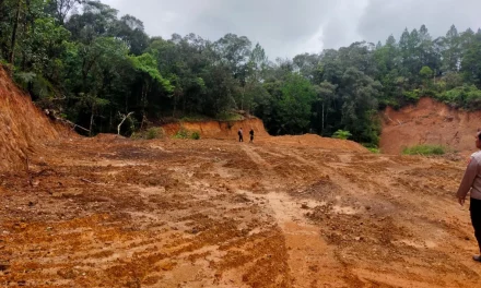 Kemenko Tegas: Hulu Tak Boleh Gundul