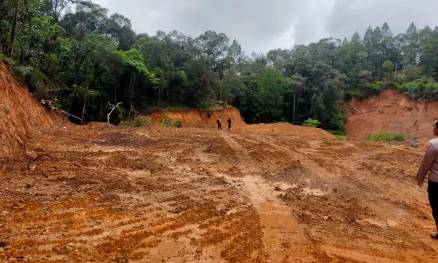Kemenko Tegas: Hulu Tak Boleh Gundul