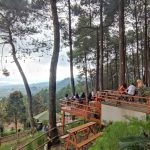 3 Manfaat Manjakan Mata Pakai Pemandangan Alami