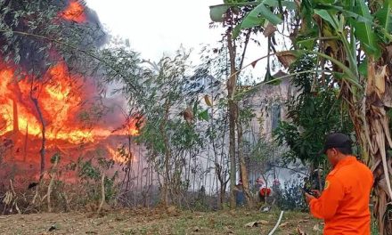 Petaka Sumur Minyak Blora: Terbakar Akibat Praktik Ilegal!