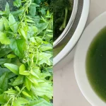 Anti Gagal! Cara Bikin Cincau Hijau Kenyal Alami