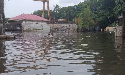 Biang Kerok Jakarta Langganan Banjir Tiap Tahun