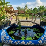 4 Trik Gampang Bikin Air Sawah Jernih